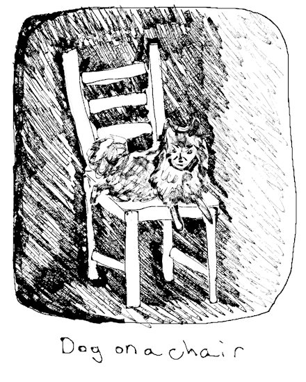 dog on a chair